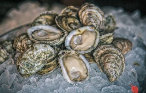 Tri pravila za pripremu kvalitetnih morskih plodova